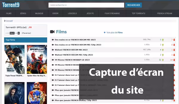 Accès au site officiel Torrent 9