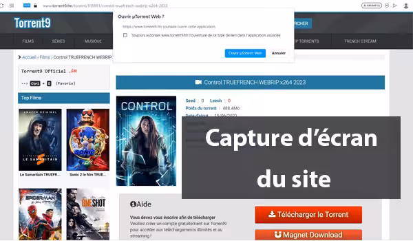 Téléchargement de Torrents